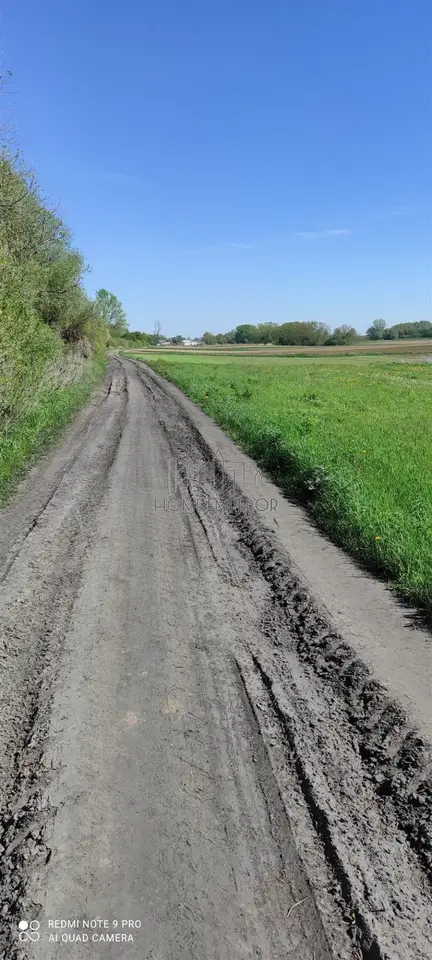 Zdjęcie 8