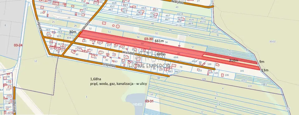 Zdjęcie 8