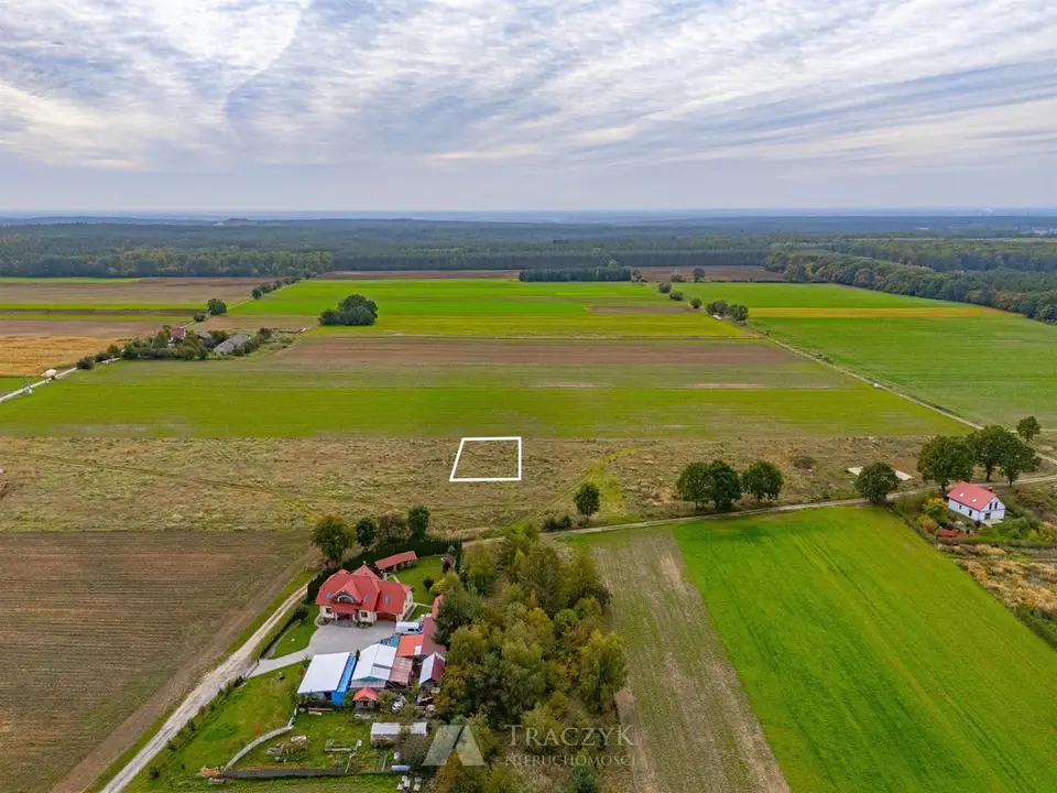 Zdjęcie 6
