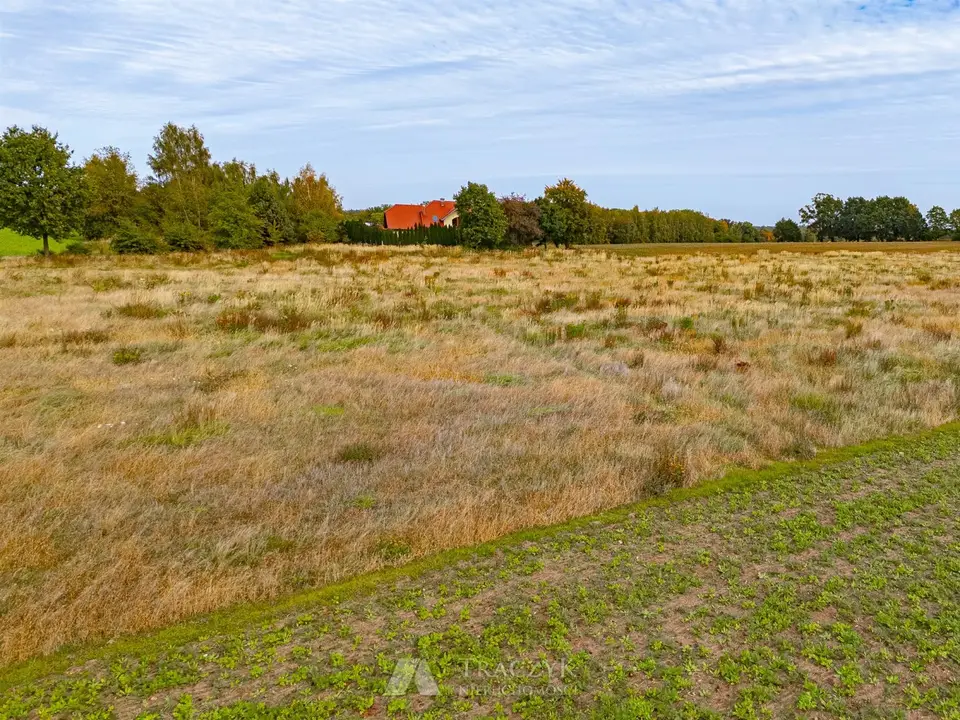 Zdjęcie 10