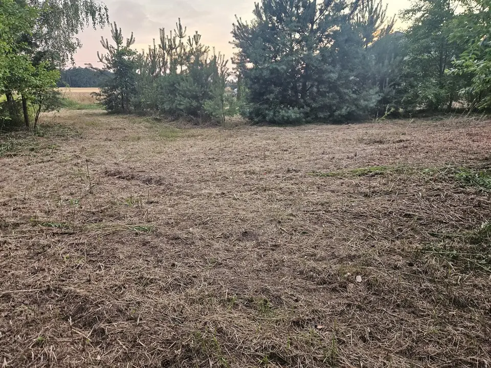 Zdjęcie 4