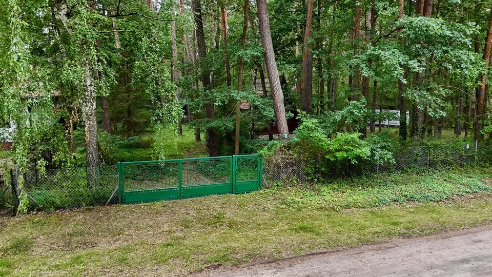 Zdjęcie 5