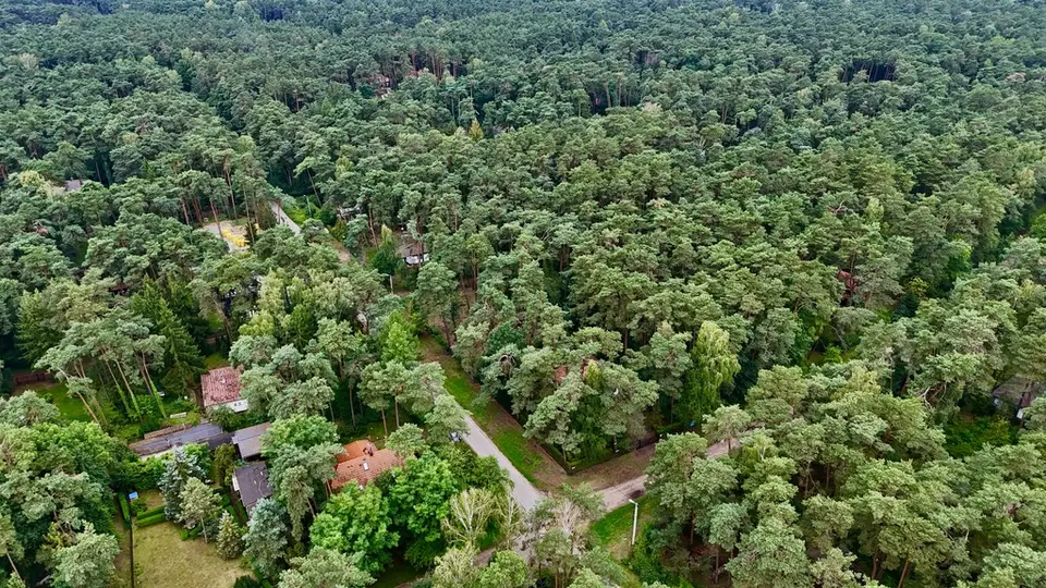 Zdjęcie 13