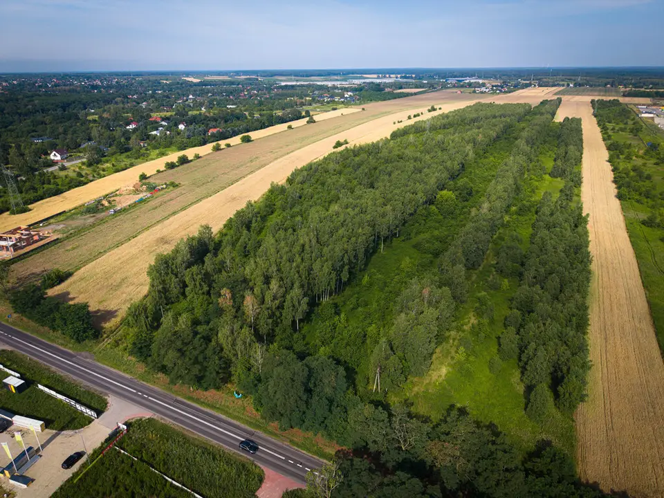 Działka inwestycyjna 3,2 ha, Dąbrówka Wielka