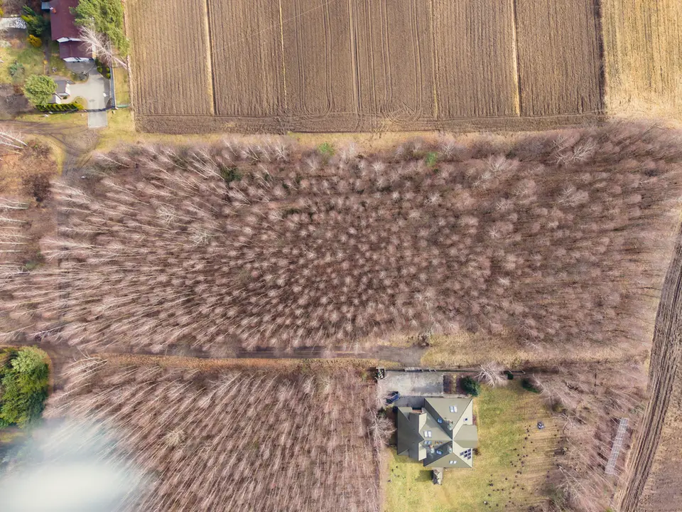 Działka budowlana i rolna 1,23 ha, Rosanów