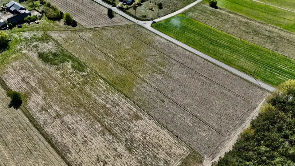 Zdjęcie 6