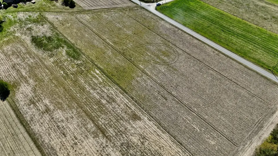Zdjęcie 12