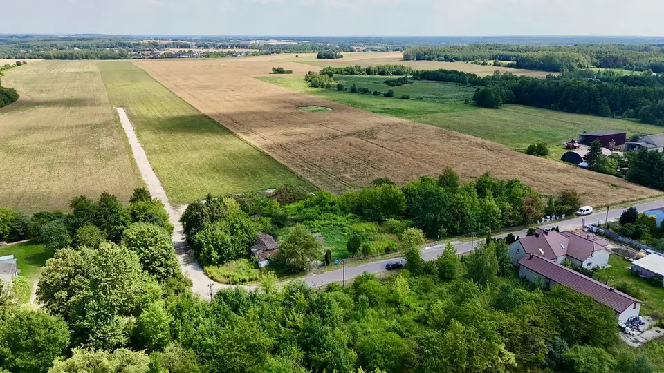 Zdjęcie 14