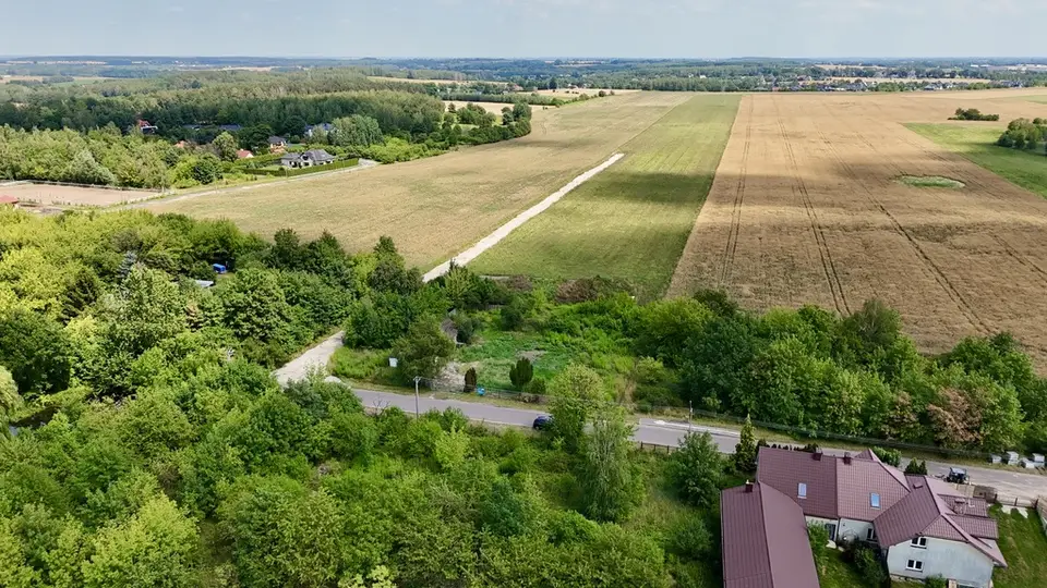 Zdjęcie 15