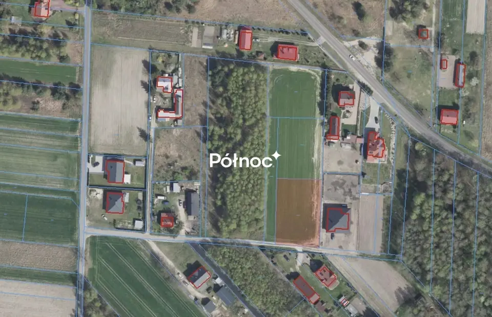 Zdjęcie 7