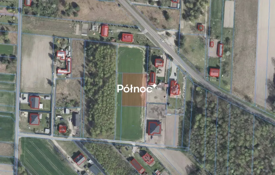 Zdjęcie 8