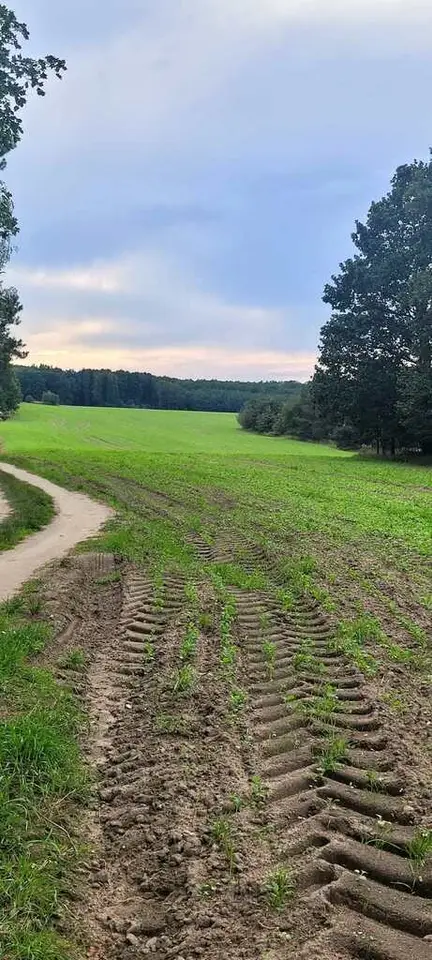 Działka rolna 3,3 ha, Niesułków-Kolonia
