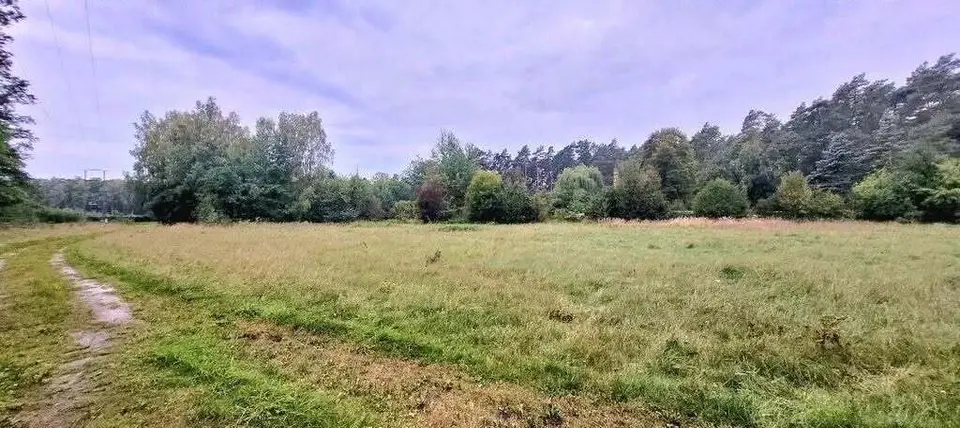 Działka budowlana 1 200 m², Zofiówka