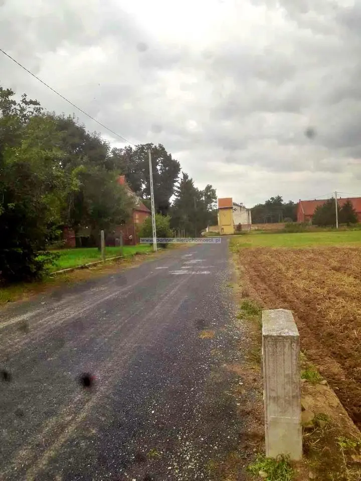 Zdjęcie 3