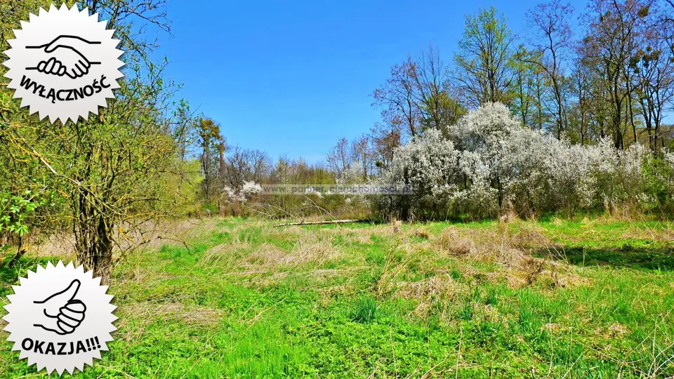 Działka budowlana 6 501 m², Ciechów