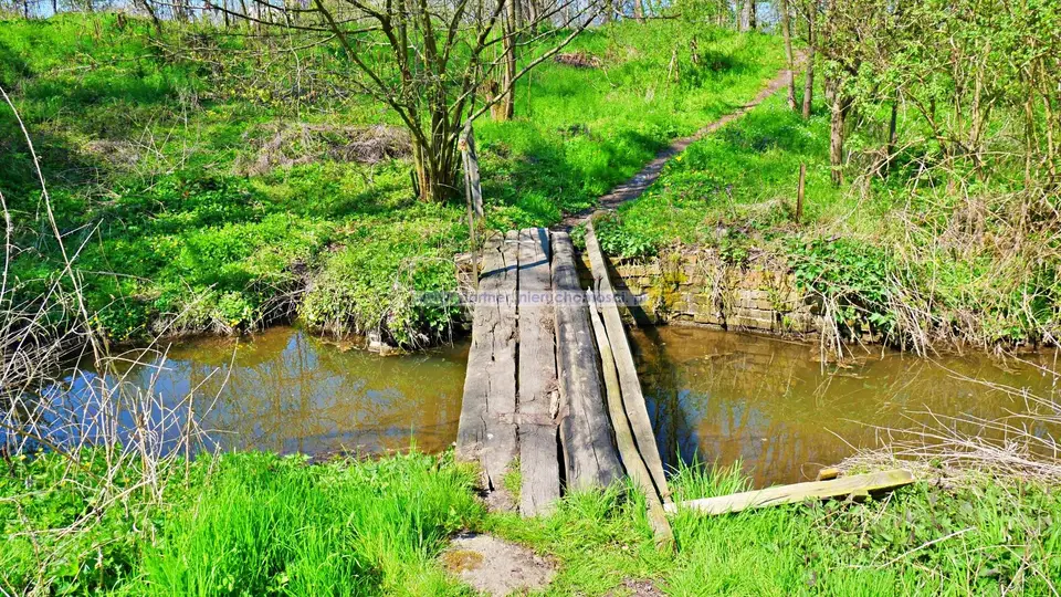 Zdjęcie 4