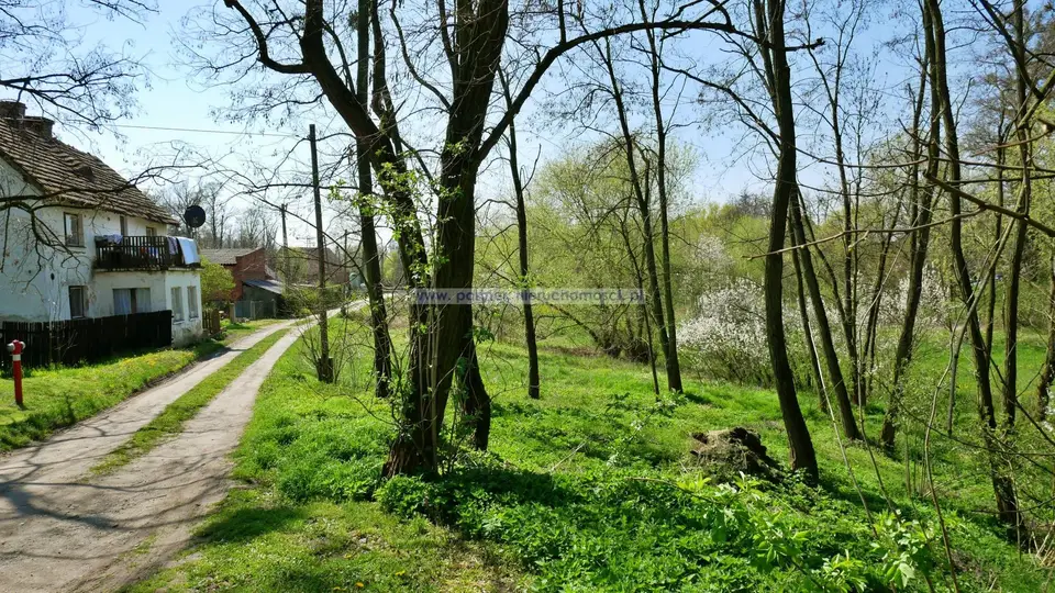 Zdjęcie 6