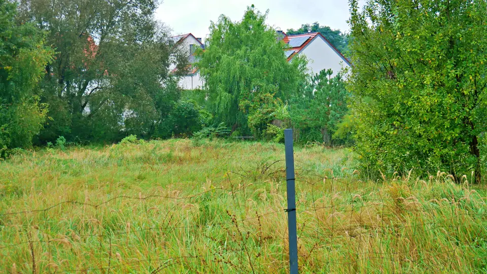 Zdjęcie 6