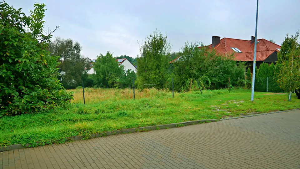 Zdjęcie 7