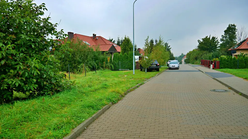 Zdjęcie 9