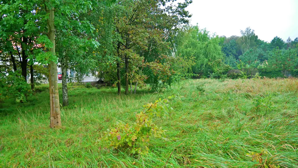 Zdjęcie 10