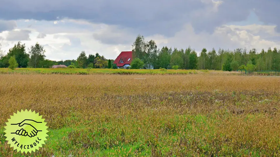 Działka rolna 1,94 ha, Gałów