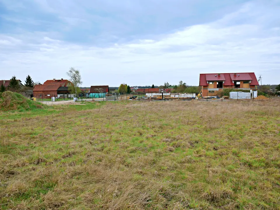 Zdjęcie 8