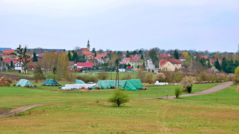 Zdjęcie 10