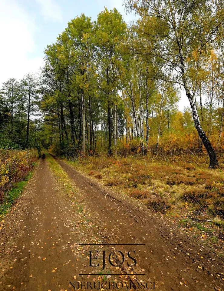 Działka budowlana 1 200 m², Żanęcin