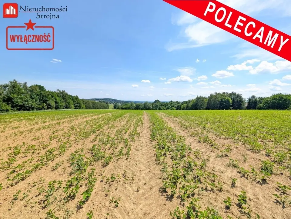 Działka budowlana 1 300 m², Sławkowice