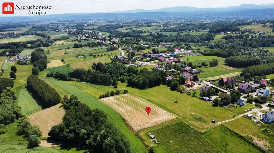 Zdjęcie 11