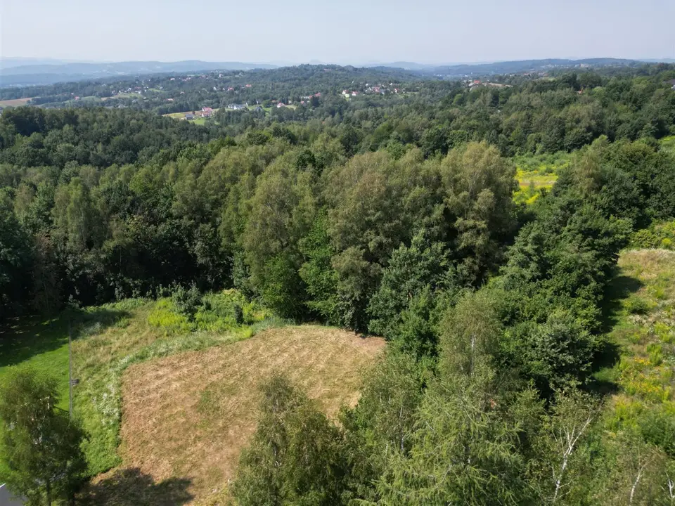 Zdjęcie 8