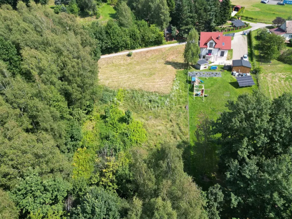 Zdjęcie 9