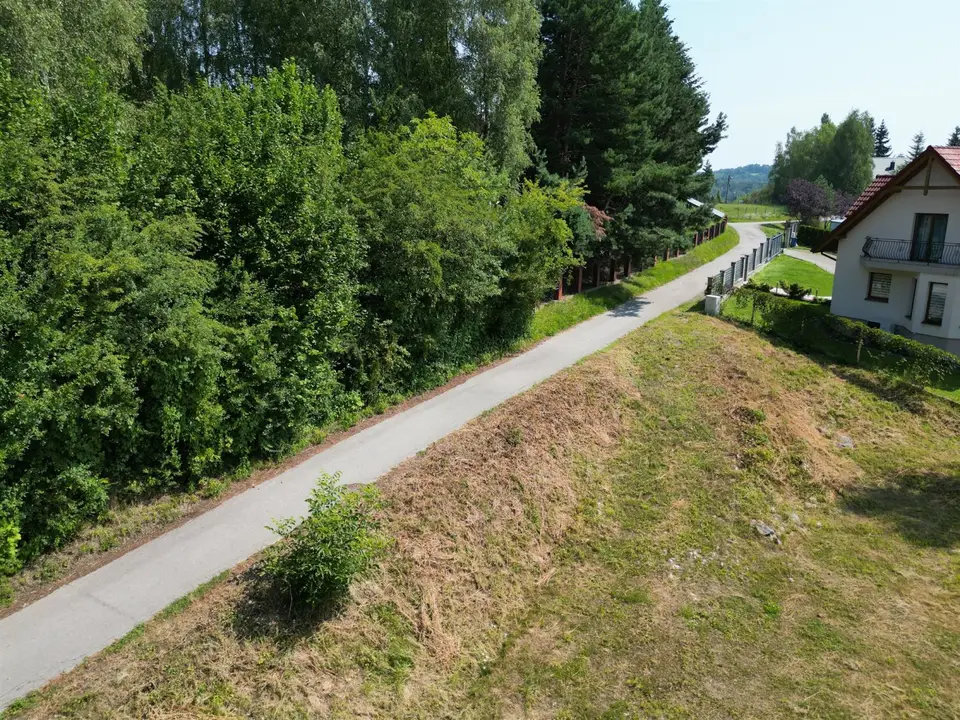 Zdjęcie 10