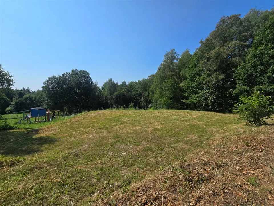 Zdjęcie 13
