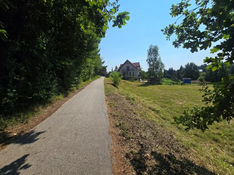 Zdjęcie 14