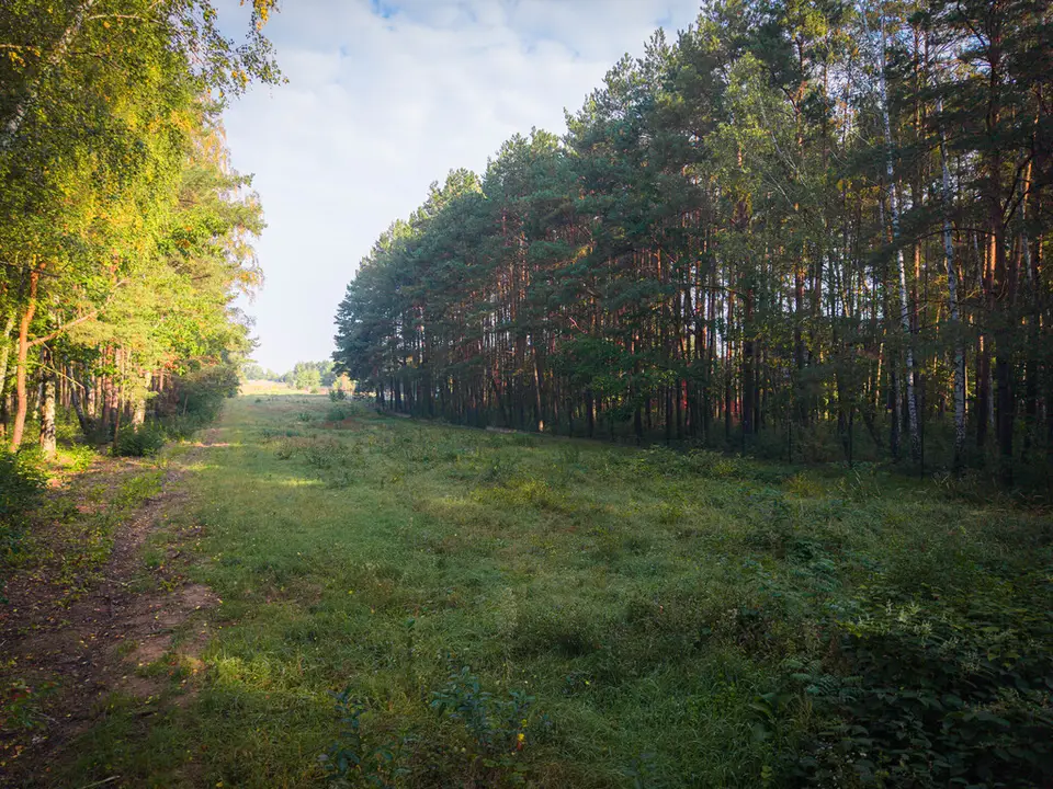Działka budowlana 2 646 m², Sokolniki