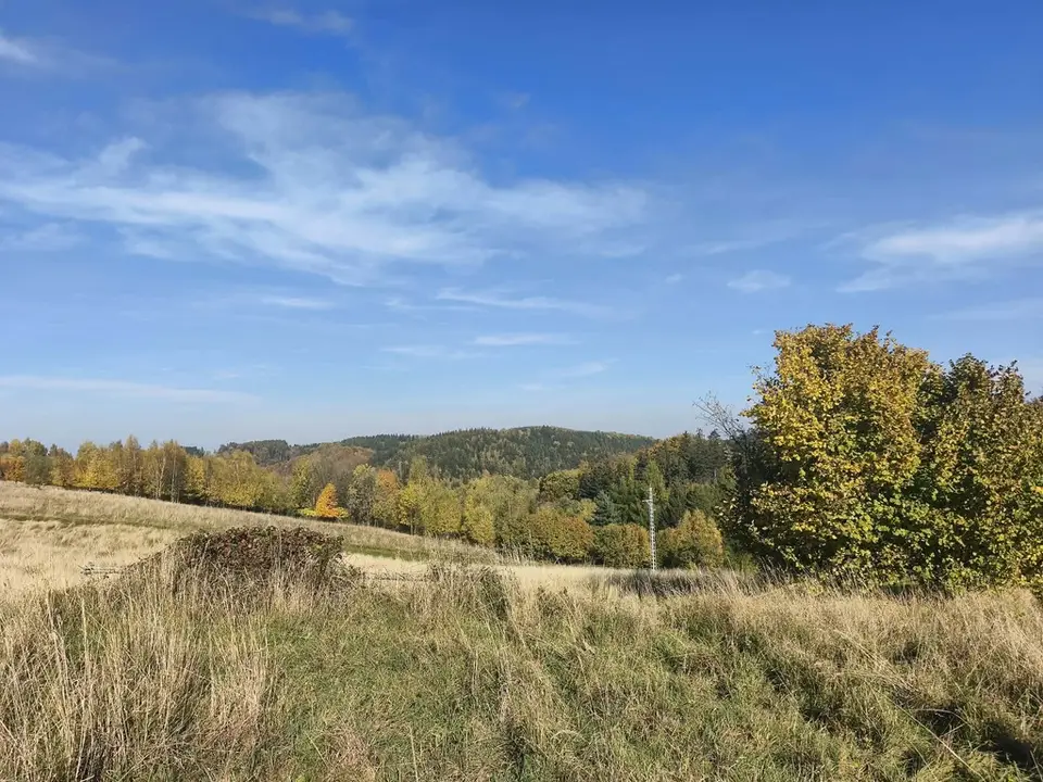 Zdjęcie 3