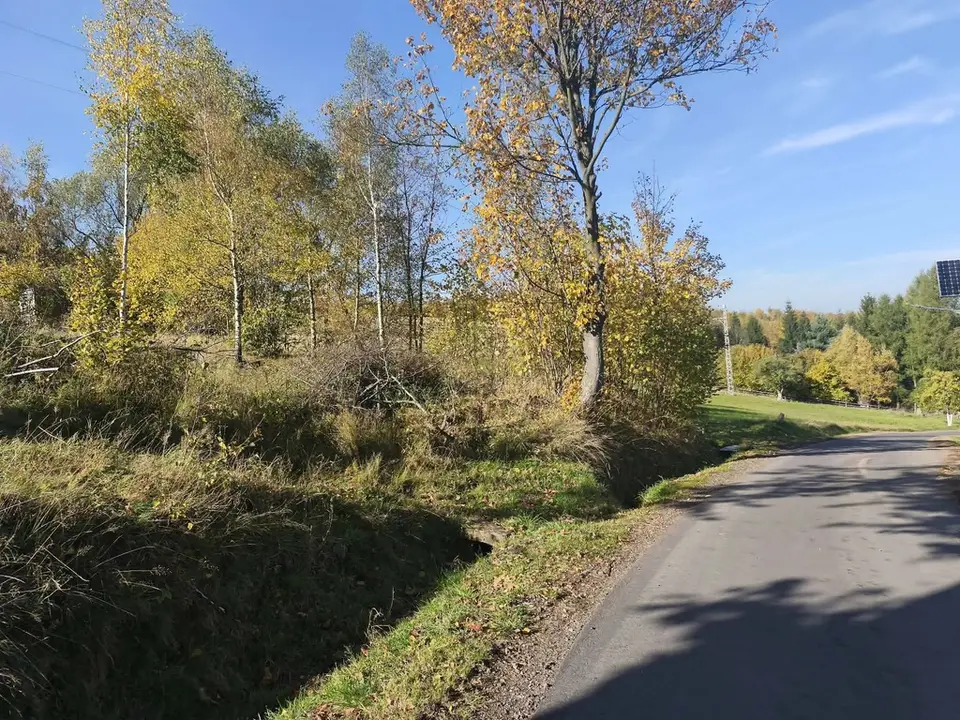 Zdjęcie 4