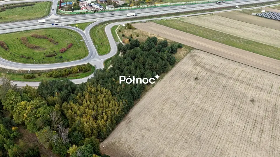 Zdjęcie 2