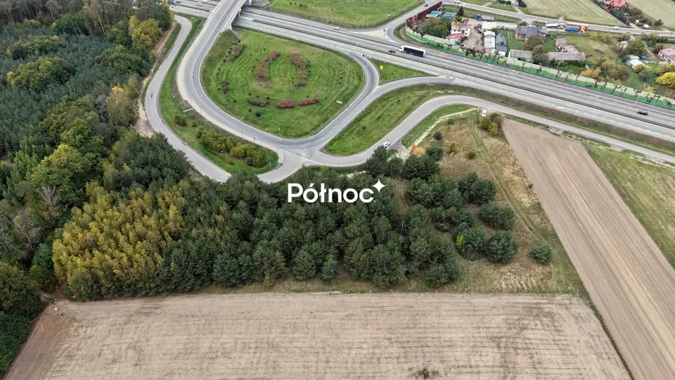 Zdjęcie 3