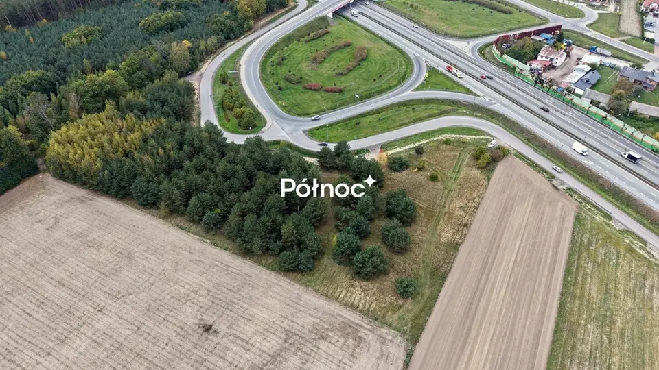 Zdjęcie 4