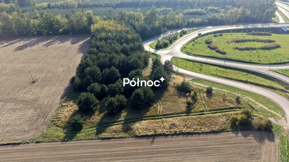 Zdjęcie 5