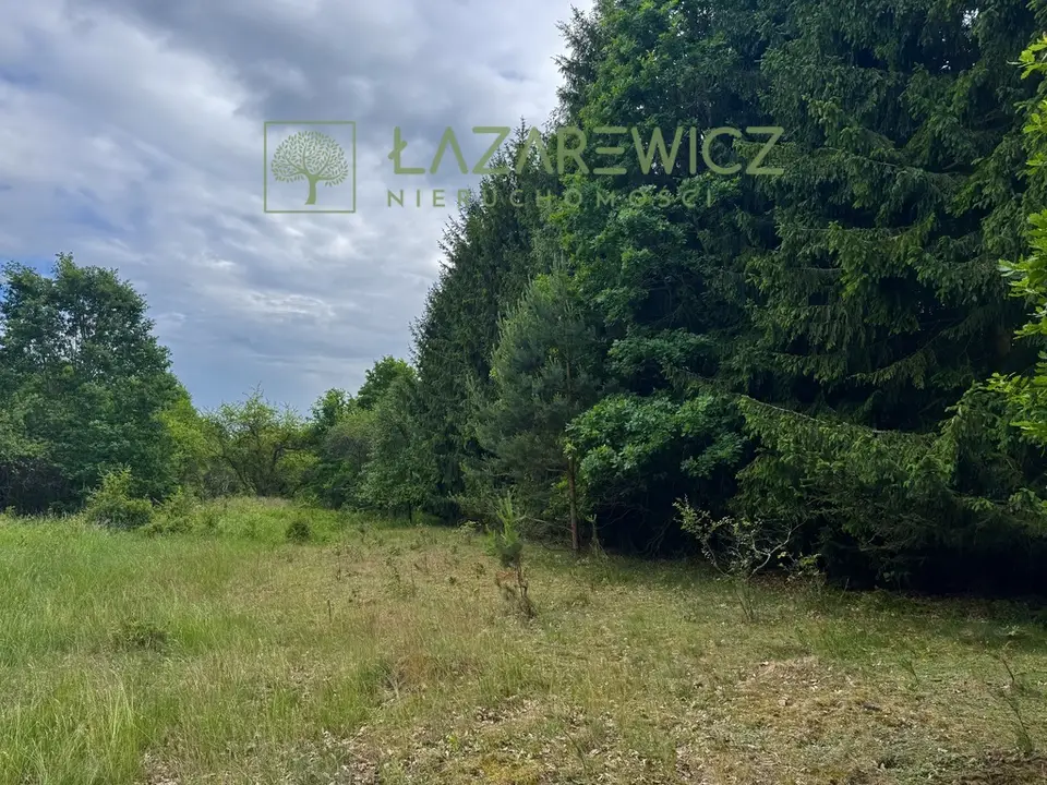Zdjęcie 6