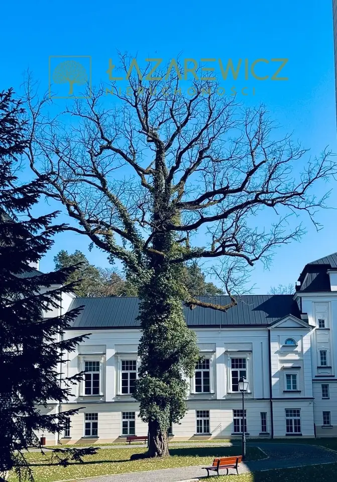 Zdjęcie 17