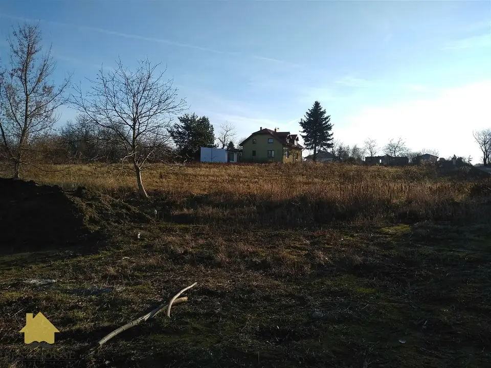 Zdjęcie 5