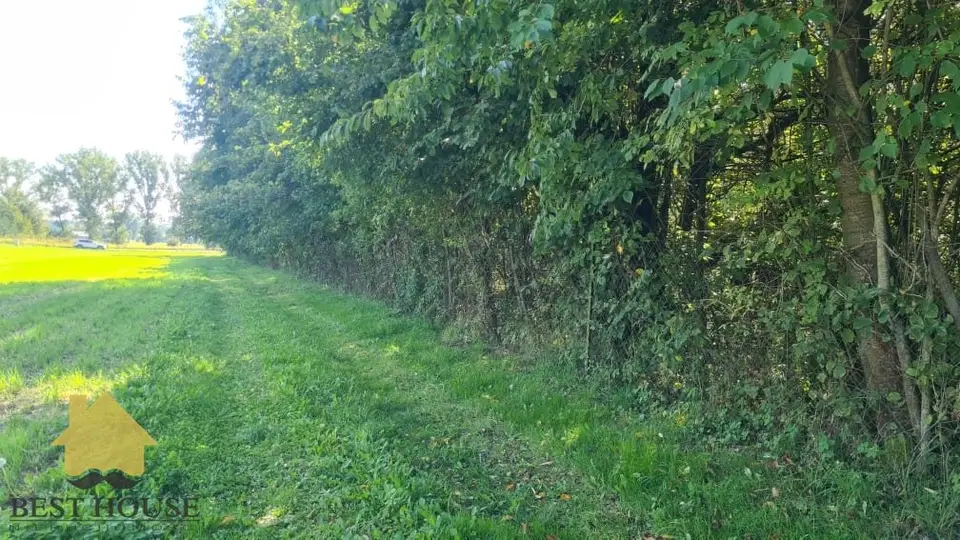 Zdjęcie 5