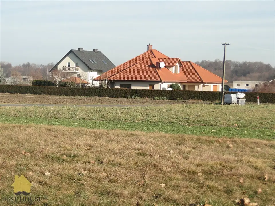 Zdjęcie 2