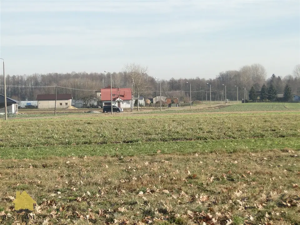Zdjęcie 3