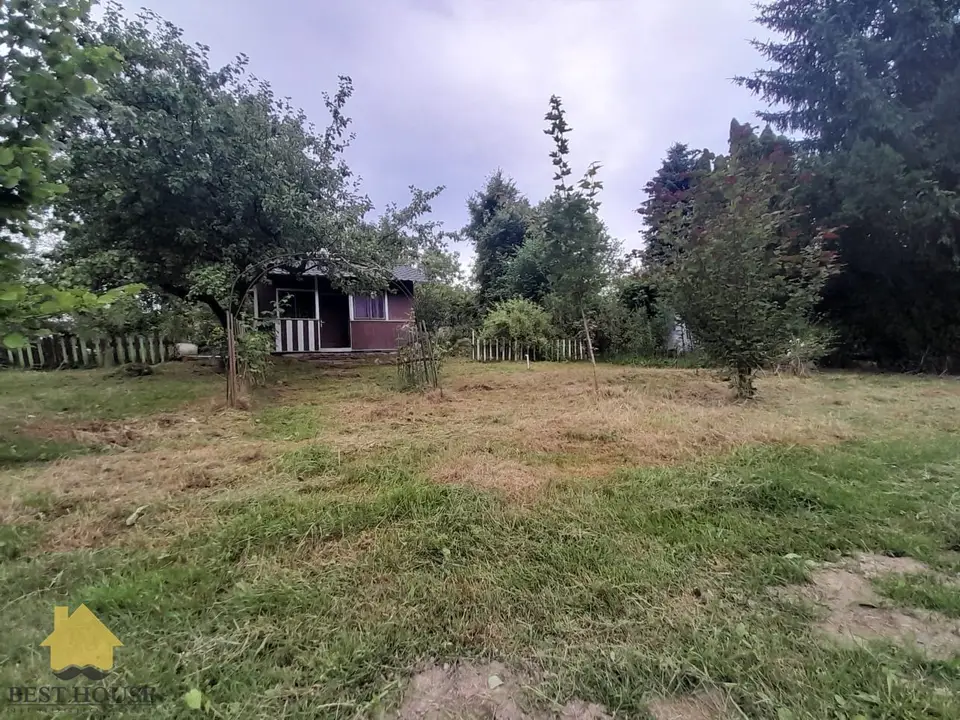 Zdjęcie 2